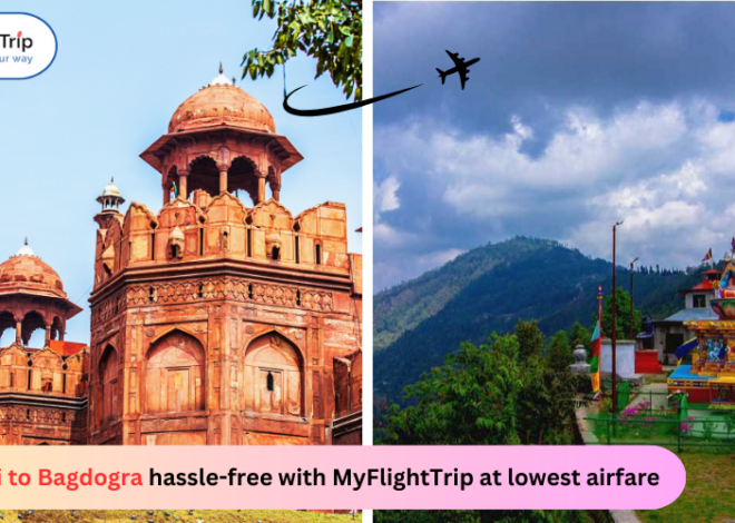 Flight from Delhi to Bagdogra hassle-free with MyFlightTrip at lowest airfare