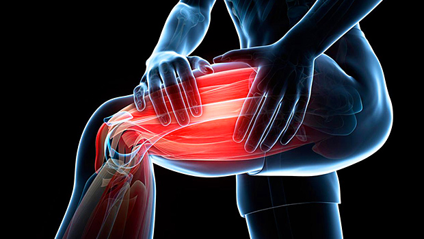 Leg Muscles: Thigh and Calf Muscles, and Common Causes of Pain
