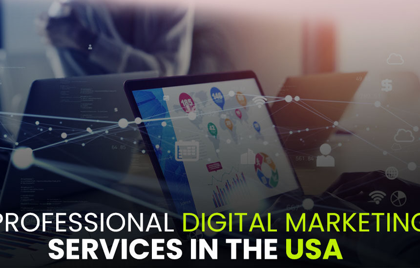 Professional Digital Marketing Services In the USA