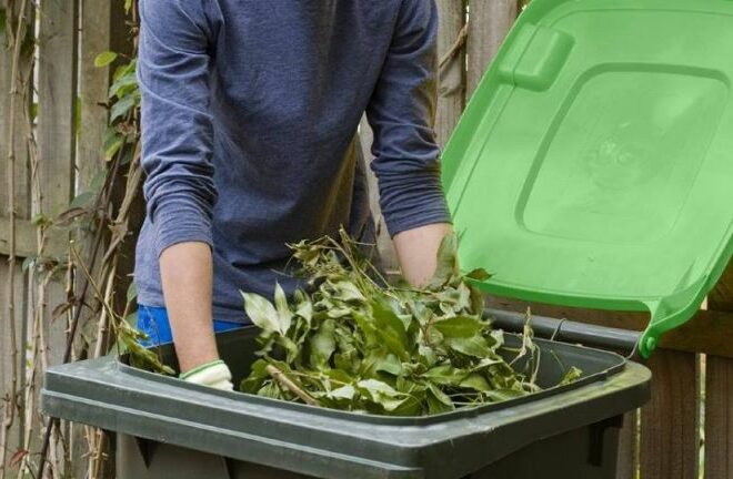 From Yard to Compost: Efficient Methods for Green Waste Removal