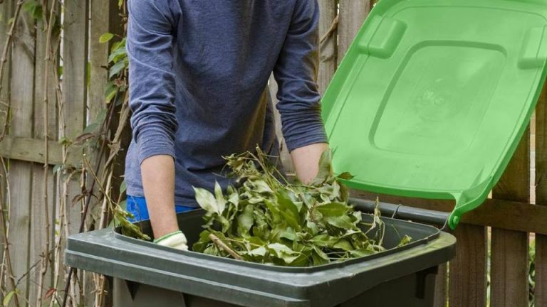 From Yard to Compost: Efficient Methods for Green Waste Removal