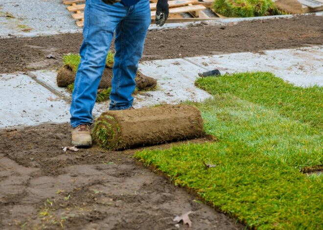 How to Create a Green Roof with Sod