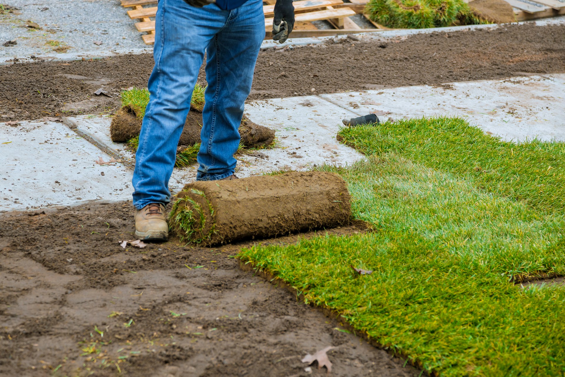 How to Create a Green Roof with Sod